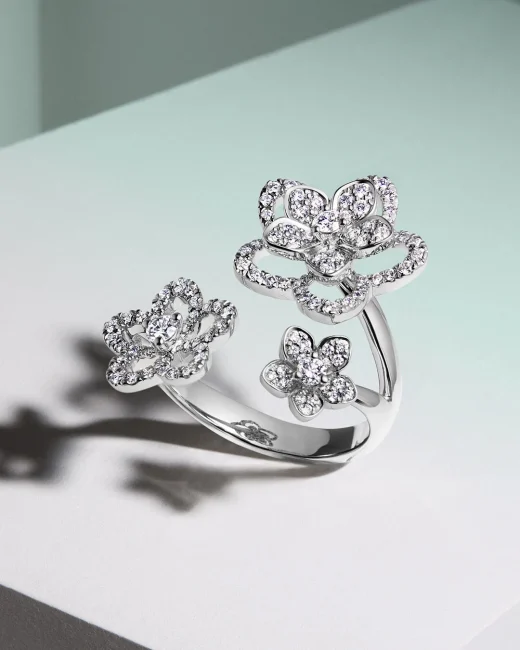 RGR841 20250520_MD_GRAFF_SHOT_10_F3 4x5